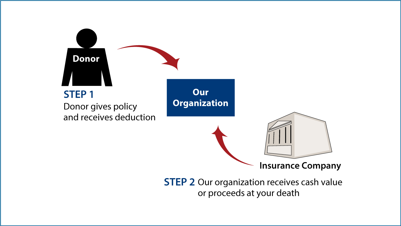 Life Insurance Policy Thumbnail
